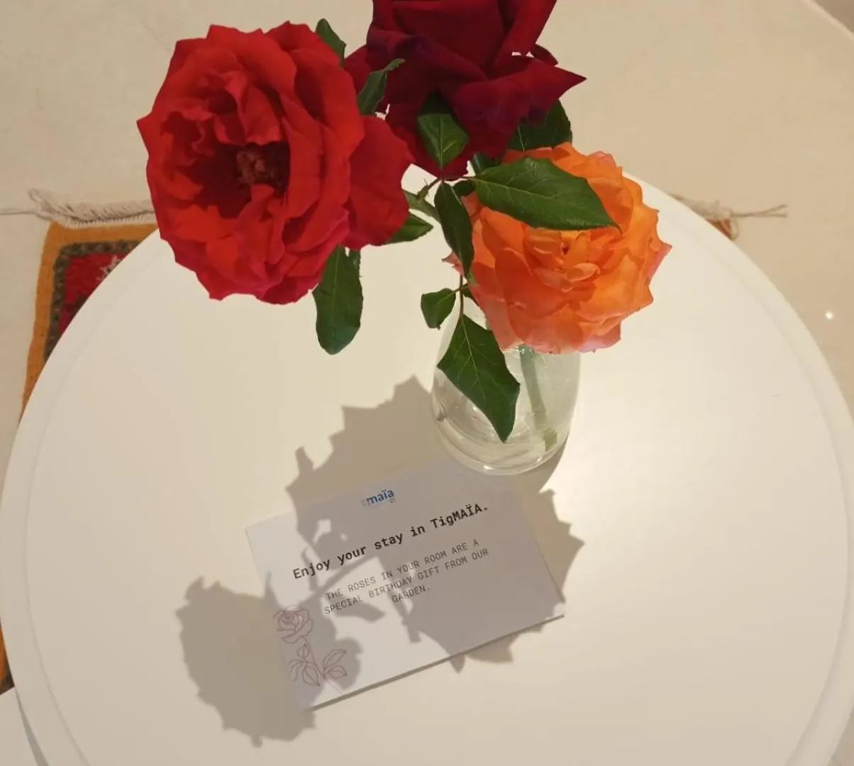 Hotel Tigmaia Guest House In Agadir For Traditional Art And Culture
